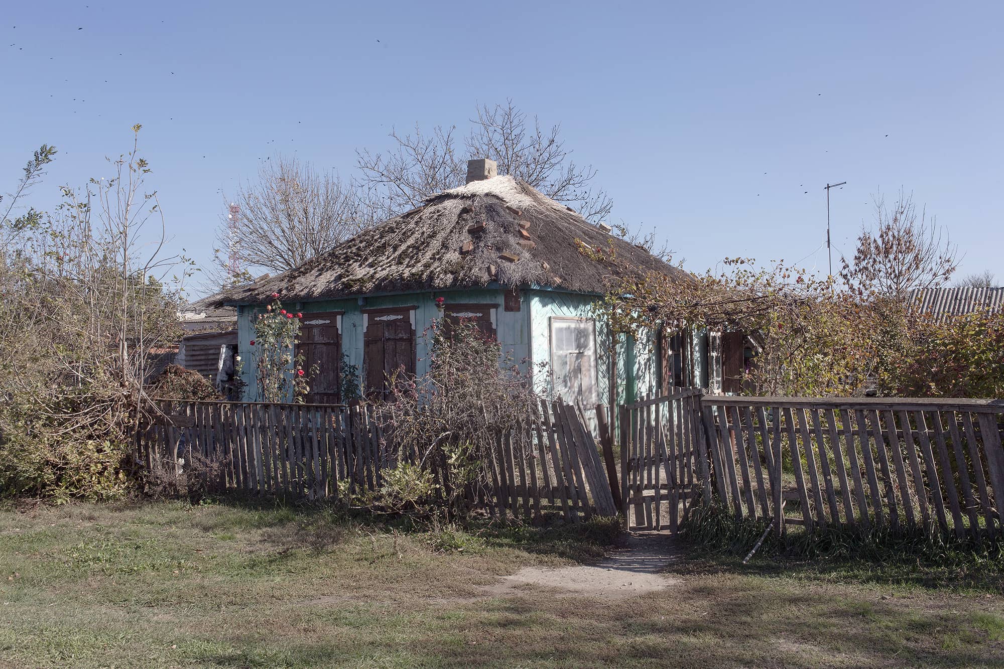 Казаки — Станица Гривенская